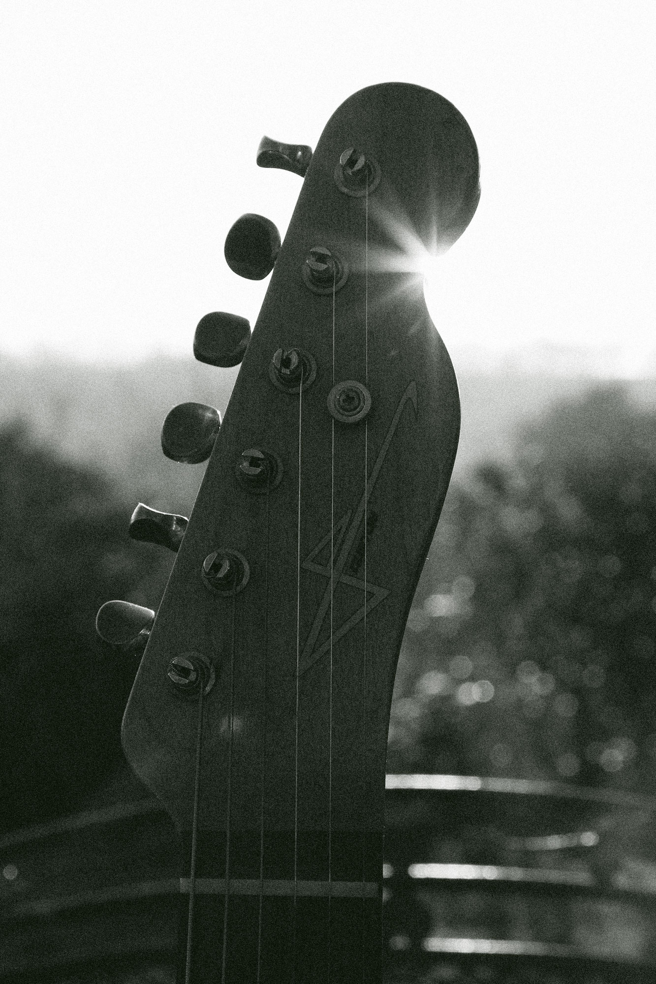 Reborn Guitars Thomas Puzik Headstock